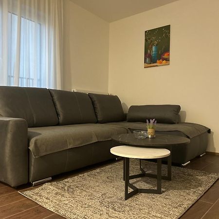 Vila Drina Apartments Banja Koviljača Extérieur photo