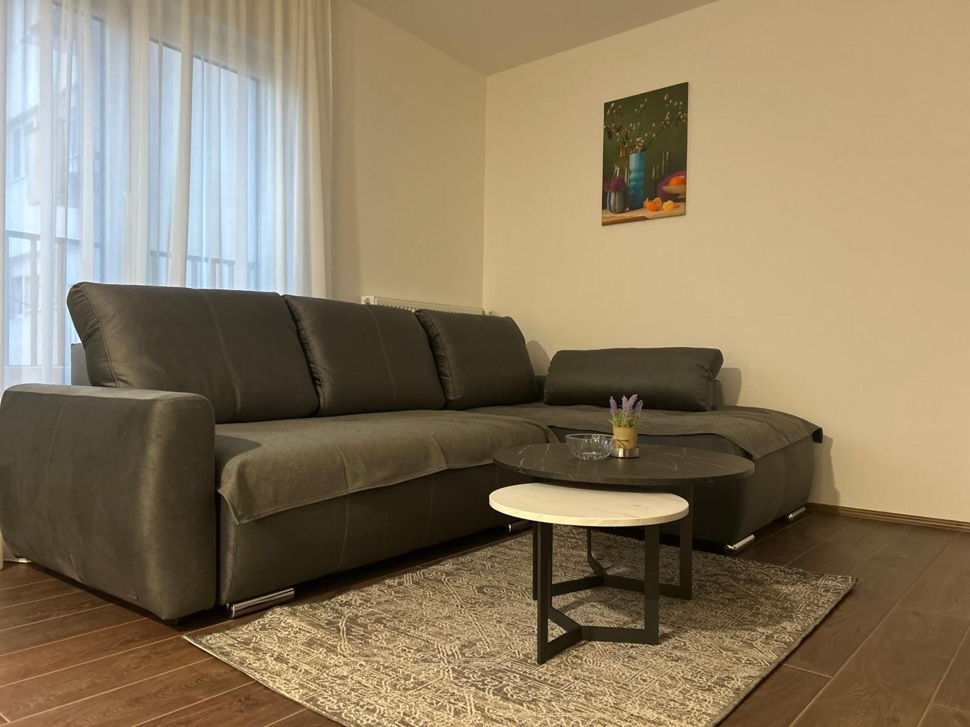 Vila Drina Apartments Banja Koviljača Extérieur photo