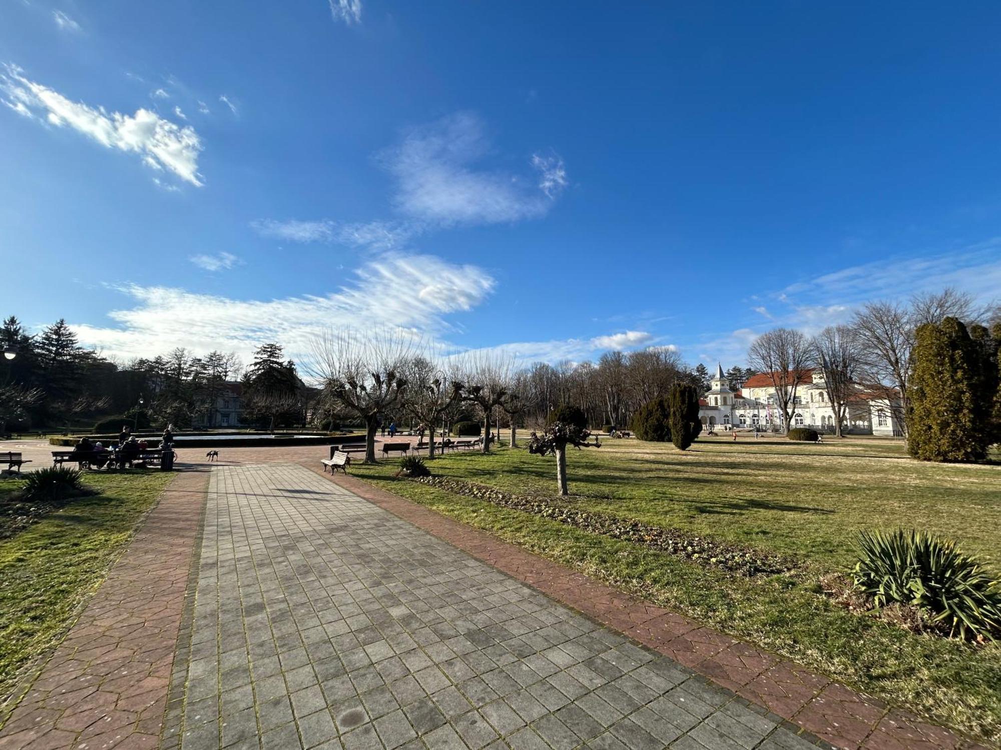 Vila Drina Apartments Banja Koviljača Extérieur photo