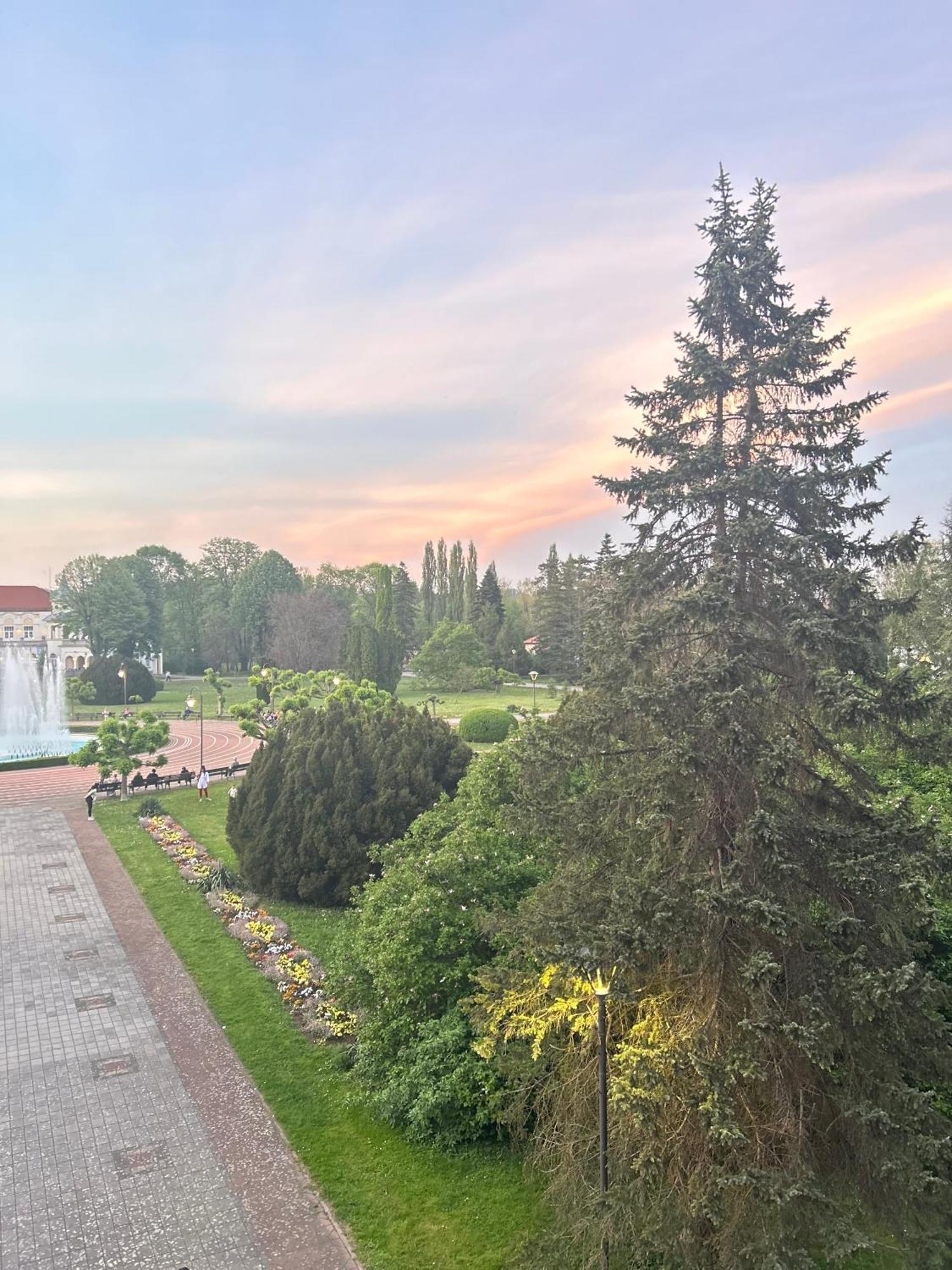 Vila Drina Apartments Banja Koviljača Extérieur photo